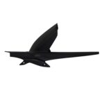 Aripă noroi spate (neagră) - Triumph Tiger 800 2013-2017