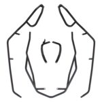 Crash bar - Honda PCX 125 / PCX 150 2018-2020