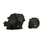 Protecție ambreiaj și alternator fibră de carbon - Honda CBR 600RR 2007-2014
