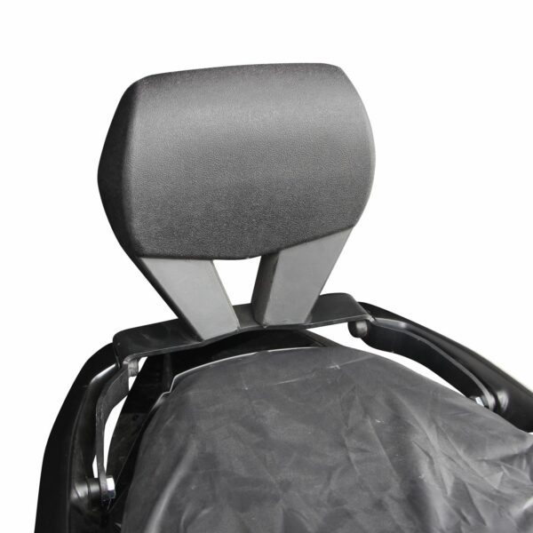 Spătar pasager - Honda Forza 250 / Forza 350 / NSS350 2023-2024 de la GP Kompozit